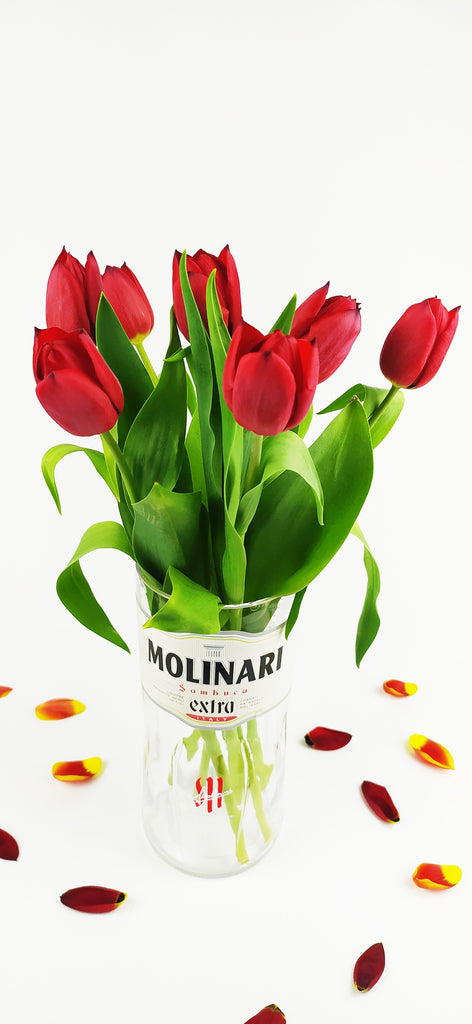 Vaso Sambuca - Bottleeden