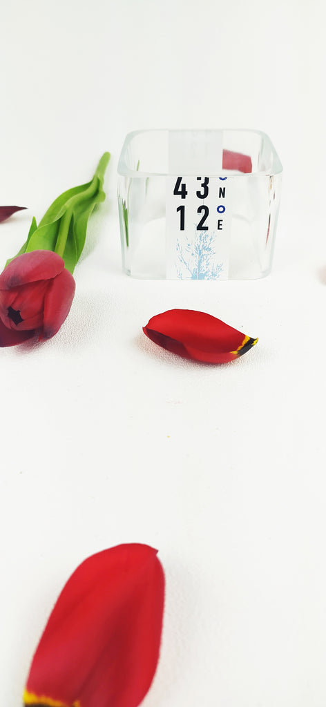 Coppapasta gin - Bottleeden